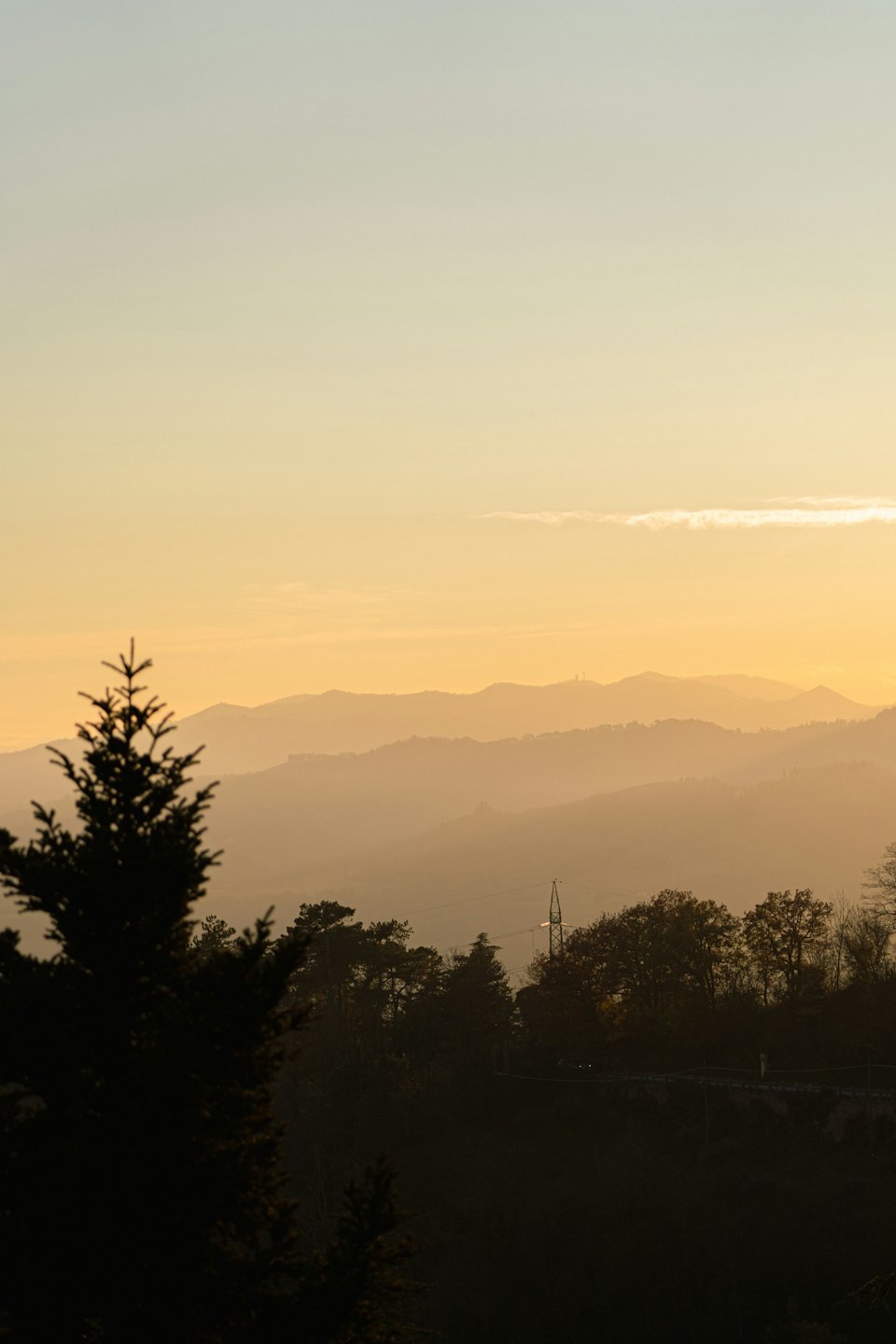 Hazy mountains at golden hour with silhouetted trees.