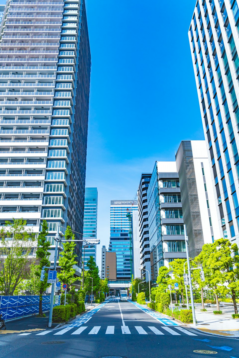 Modern city street lined with tall buildings and green trees.
